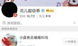 花儿超级乖最新爆料,揭秘明星背后的暖心故事