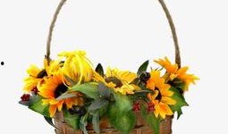 花篮网最新爆料网站下载,网站下载背后的秘密与最新动态